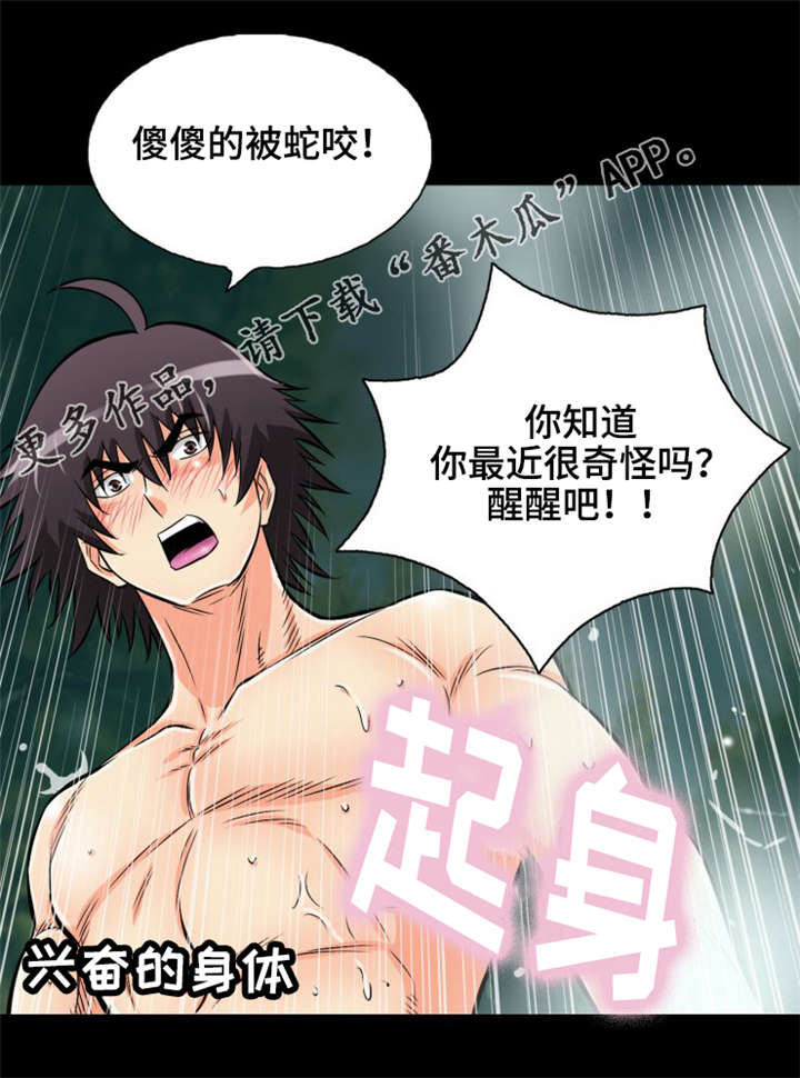 神龙抉择漫画,第13章：普通的蛇3图