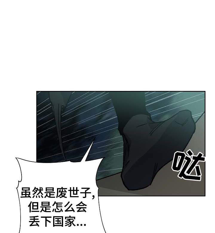 王储难保漫画,第71章：刺客3图