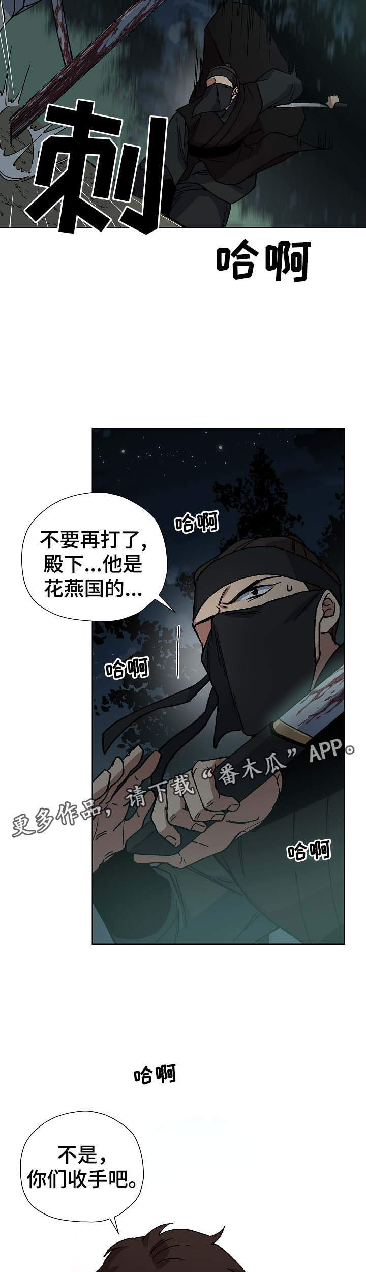 王储难保漫画,第71章：刺客2图