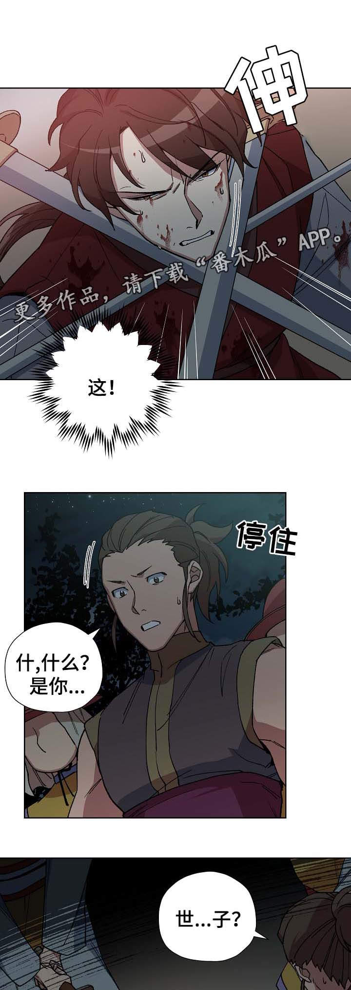 王储难保漫画,第71章：刺客1图