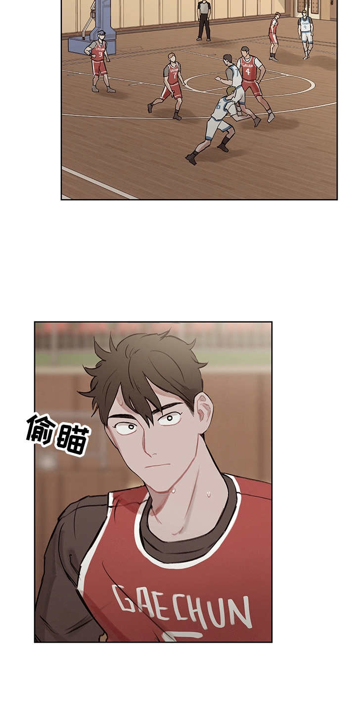 小马国时间循环漫画,第23章：比赛3图