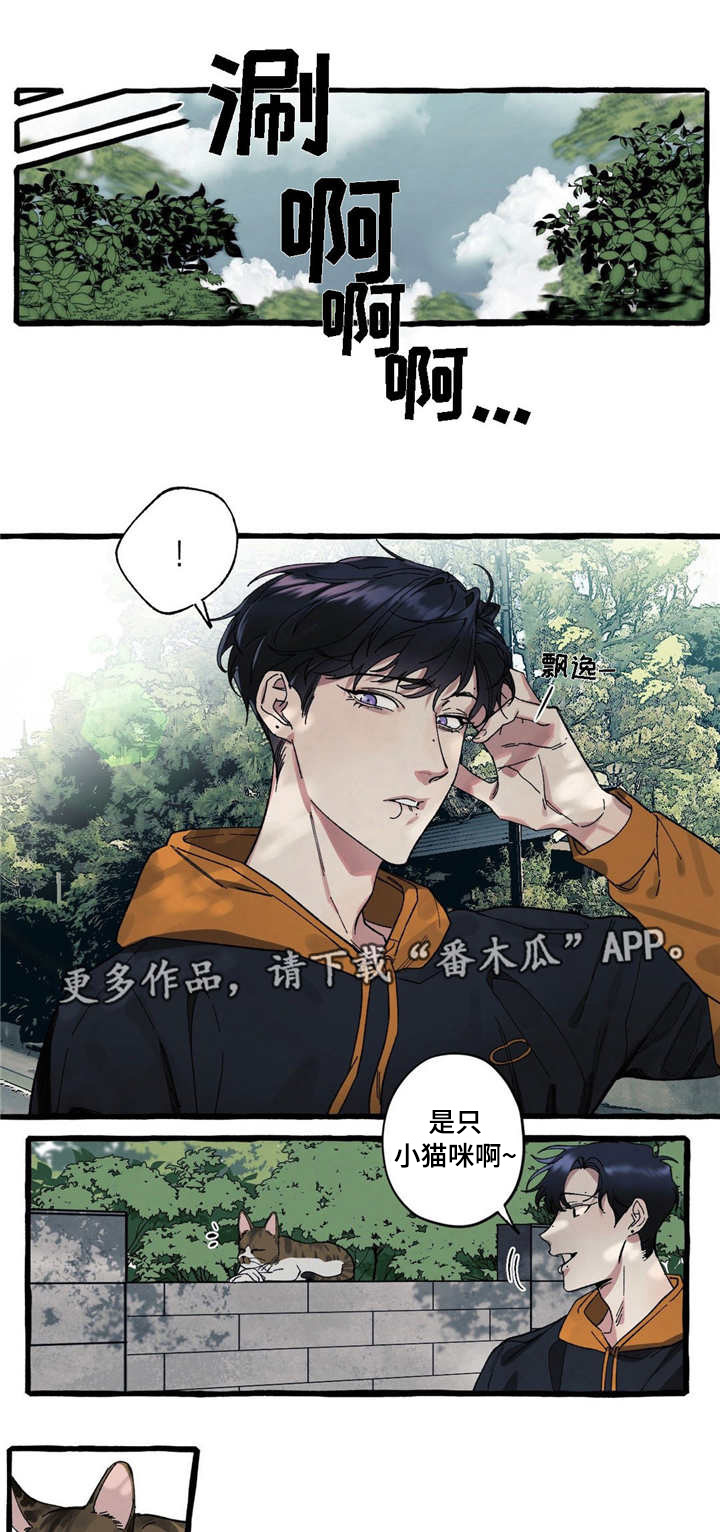 隐藏漫画,第17章：可爱2图