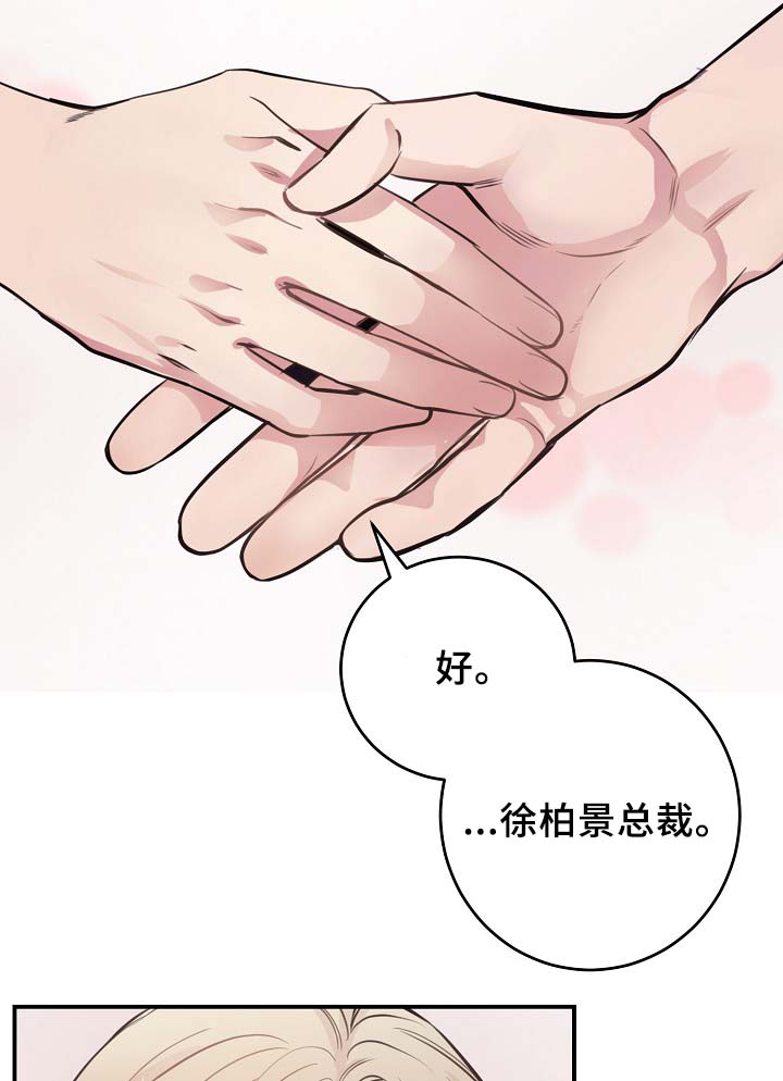 拍档意思漫画,第64章：最耀眼的明星3图