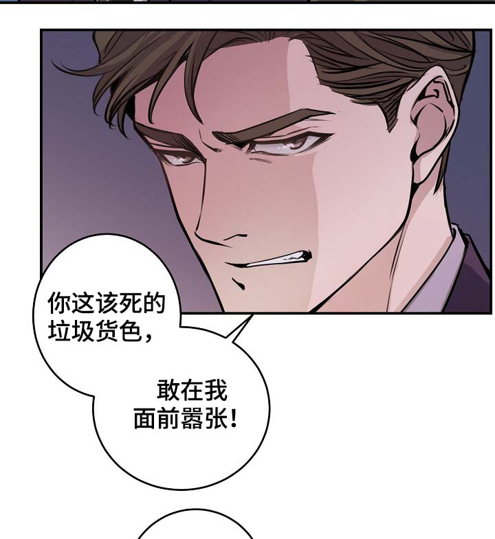 拍档和拍档漫画,第73章：设局5图