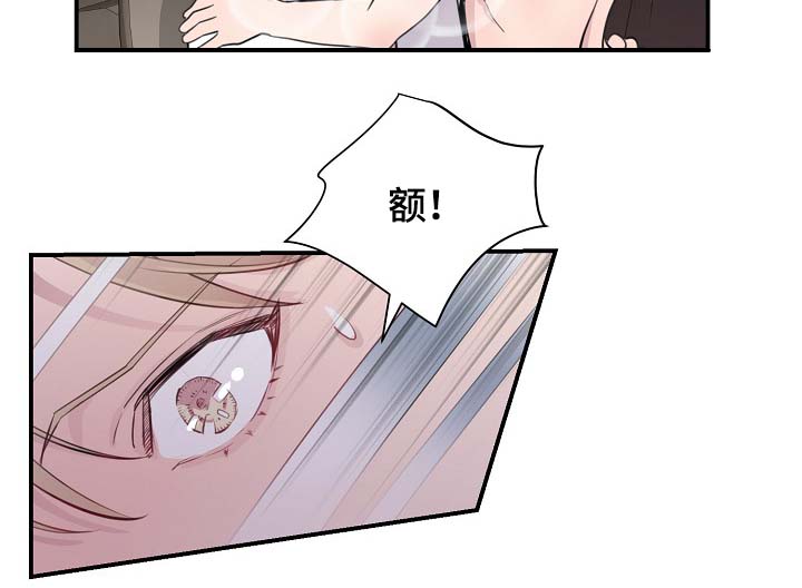 演艺拍档漫画,第84章：我只要有你就行（完结）4图