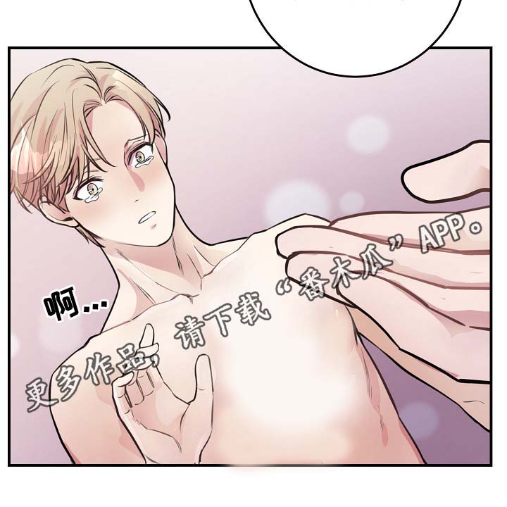 拍档意思漫画,第64章：最耀眼的明星2图