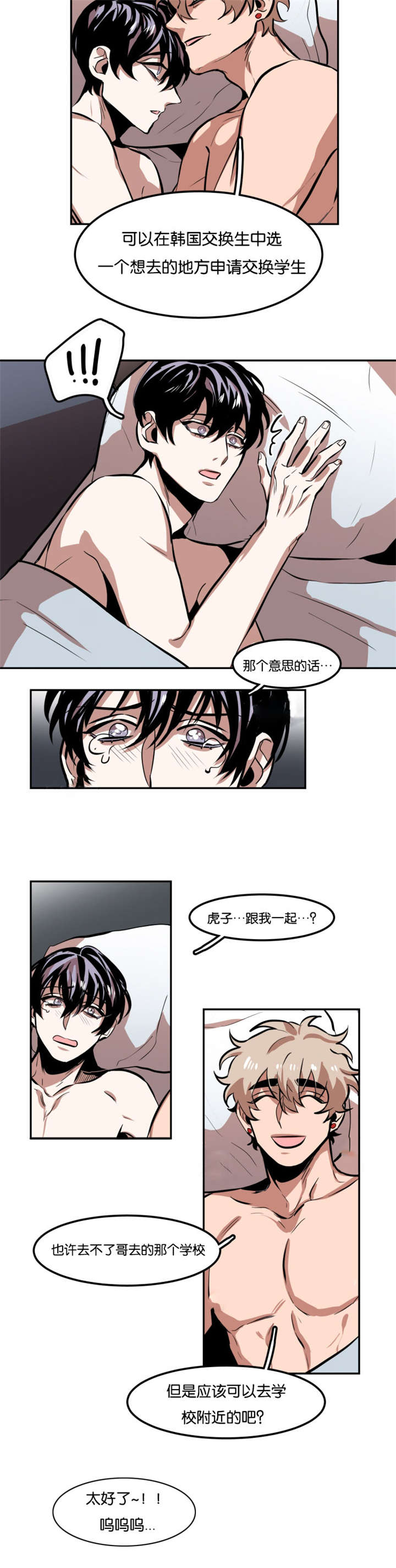 虎画师漫画,第80章：拿来了什么3图