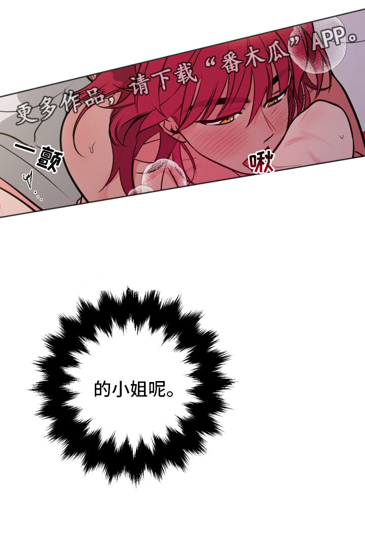 主人与宠物的情头漫画,第9章：可爱的小姐1图