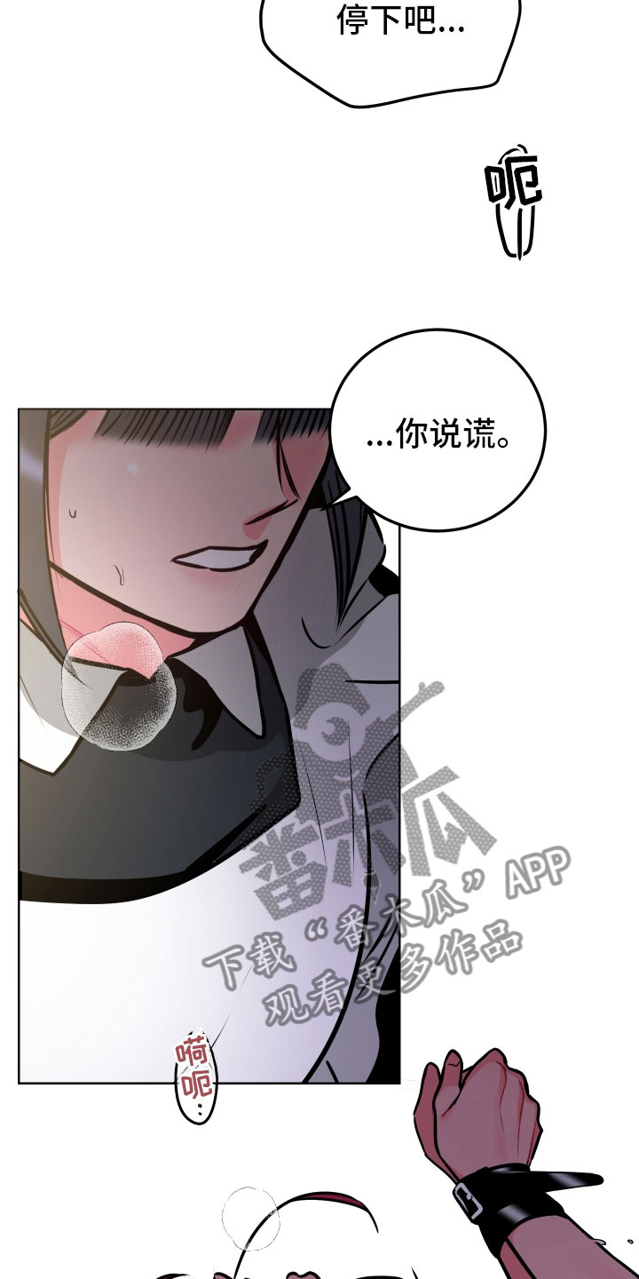 主人与狗狗告别漫画,第8章：愿望5图