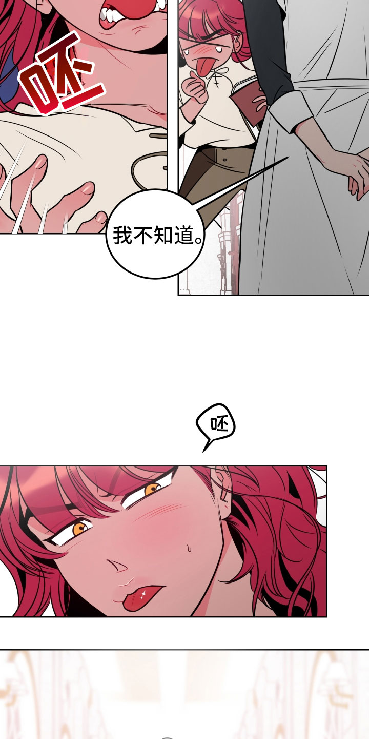 主人与猫咪斗智斗勇漫画,第1章：不可爱的玛丽4图