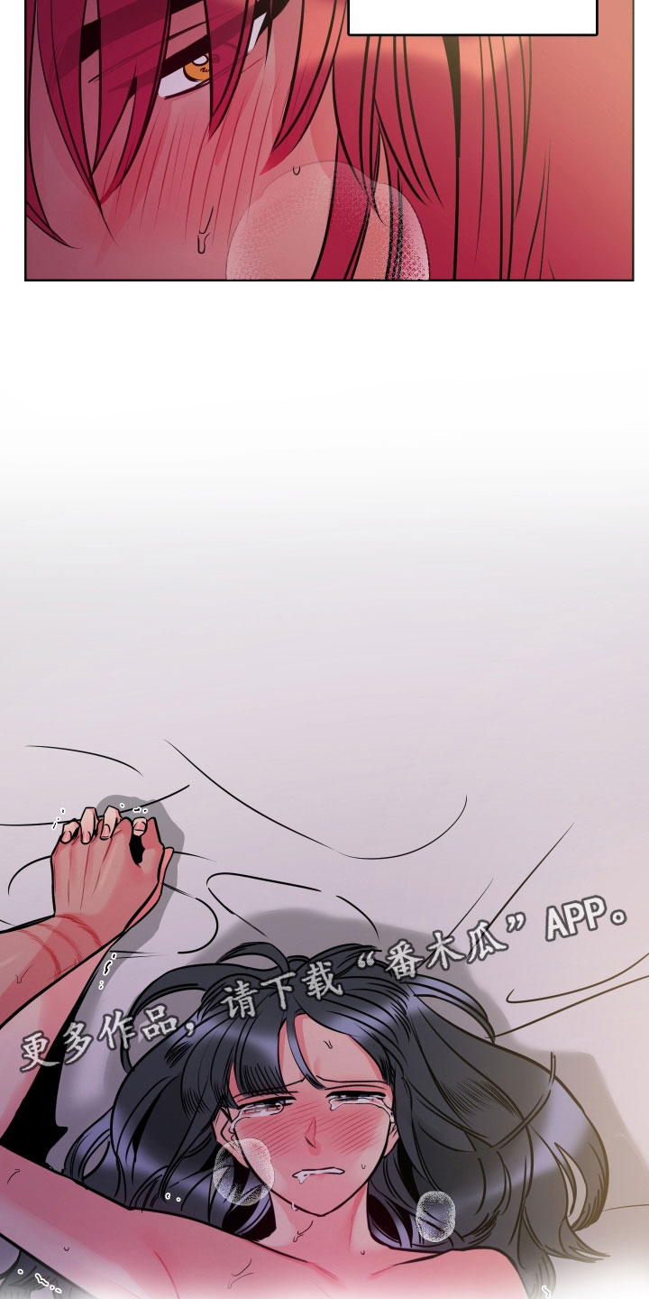 主人与猫咪的日常漫画,第11章：回忆4图