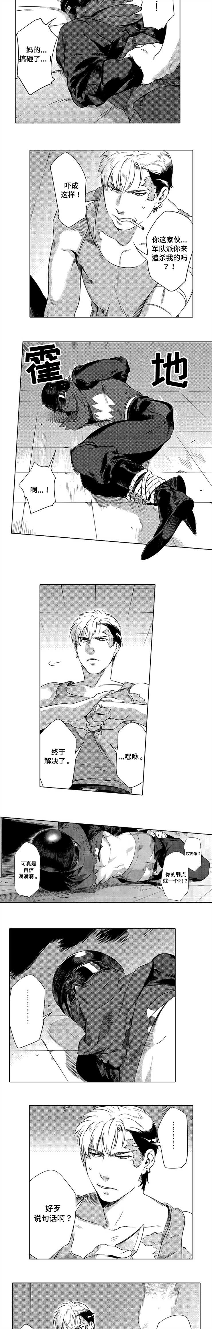 黑暗行动小说漫画,第2章：致命弱点2图