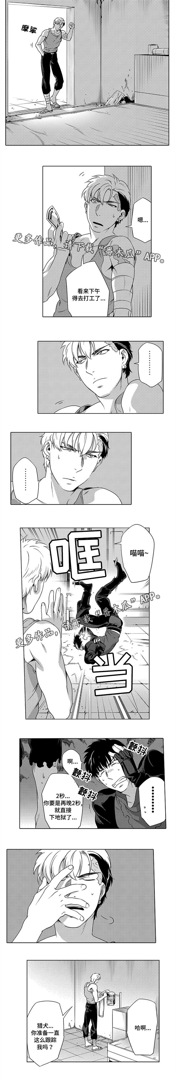 黑暗行者steam漫画,第6章：狗皮膏药3图