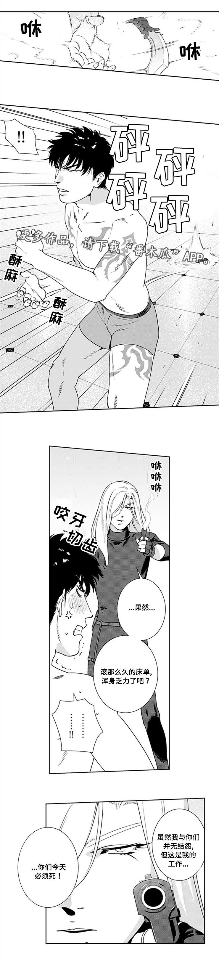 黑暗行动打一准确生肖漫画,第20章：怎么可能2图