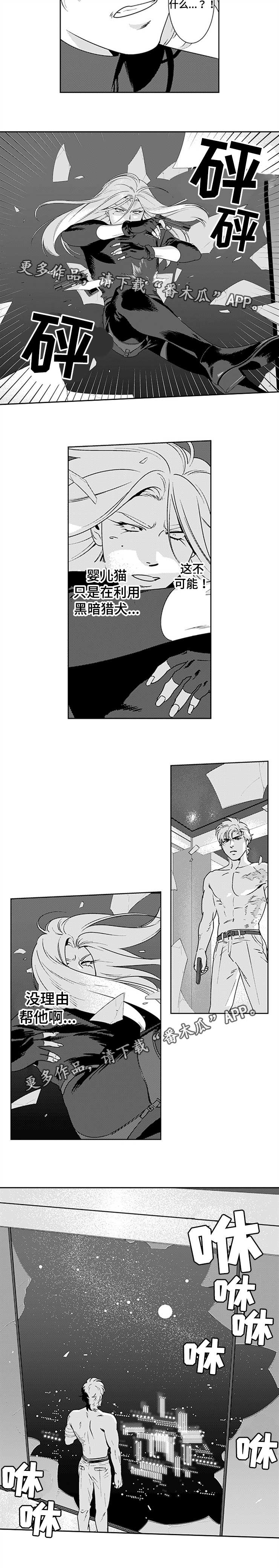 黑暗行动打一准确生肖漫画,第20章：怎么可能4图