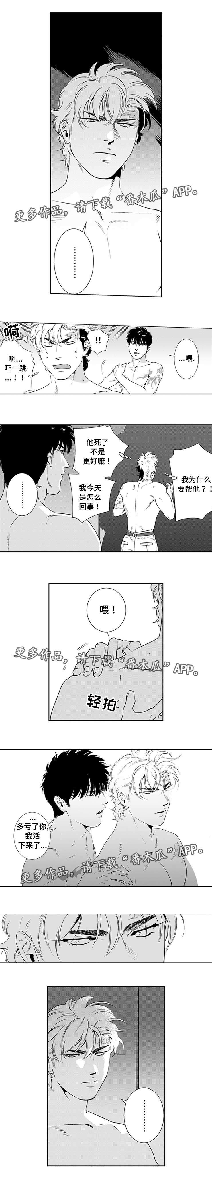 黑暗行动打一准确生肖漫画,第20章：怎么可能5图
