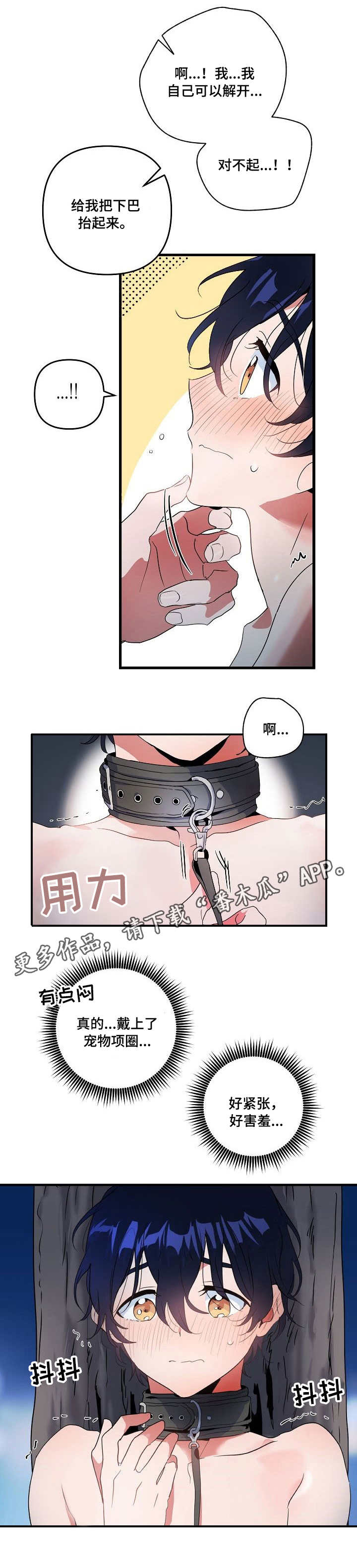 顺从漫画,第16章：项圈5图
