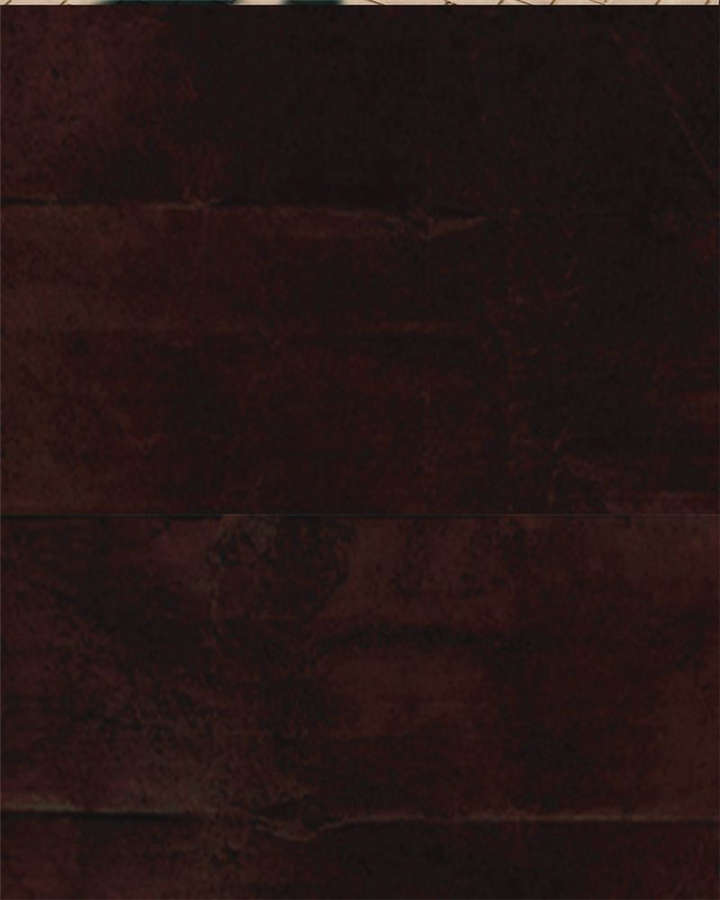 成都1995年记忆漫画,第8章：抹不去的伤痕（上）5图