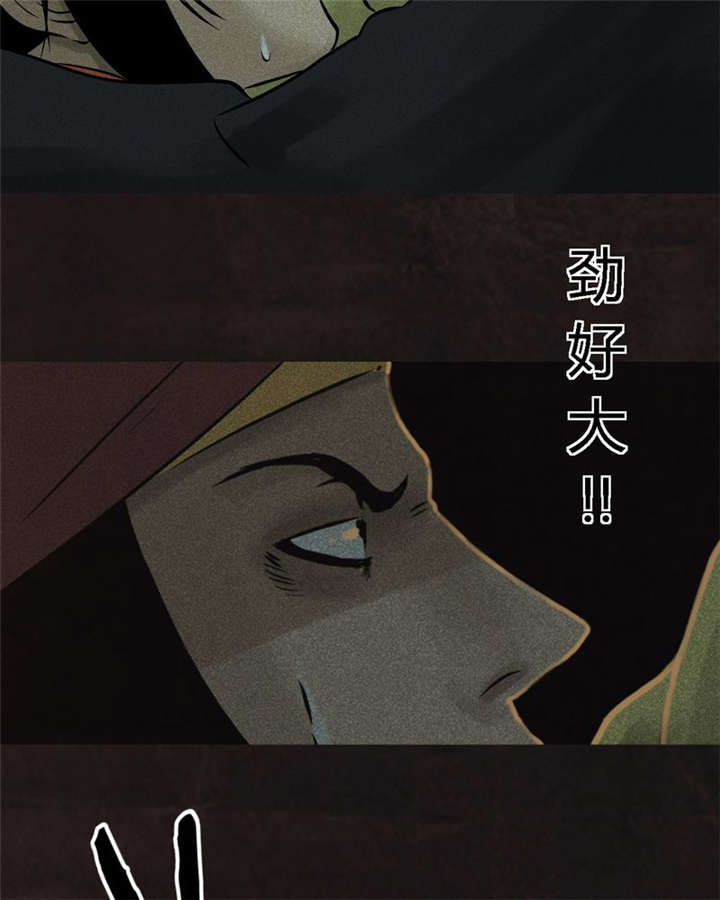 成都1995真实事件新闻报道漫画,第27章：变3图