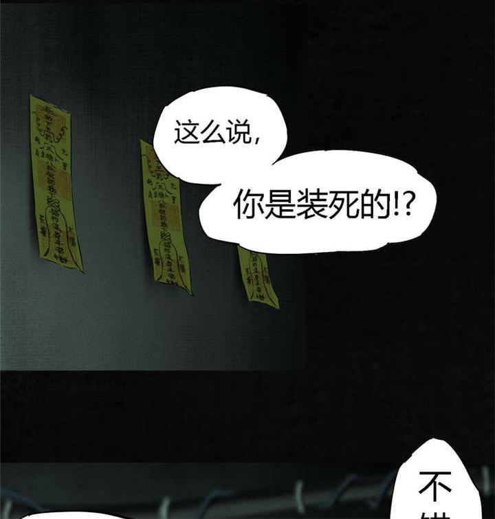 成都1995真实事件漫画,第21章：罗盘5图
