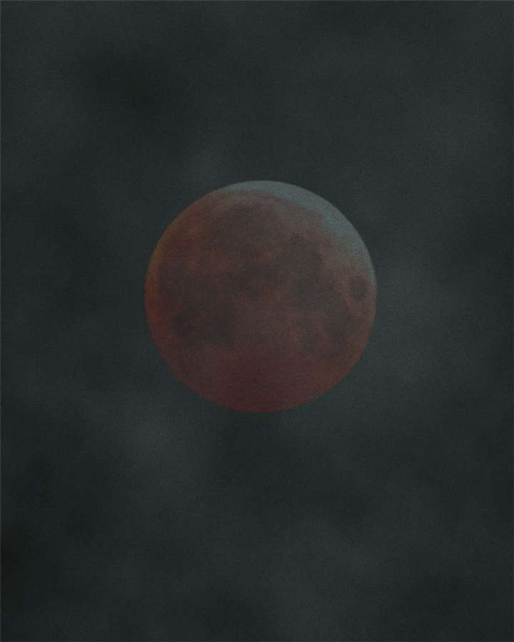 成都1995僵尸漫画,第53章：最终篇（中下）5图