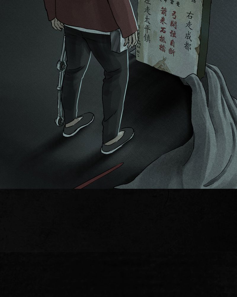 1995年成都的僵尸事件是怎么回事漫画,第54章：最终篇（下）5图