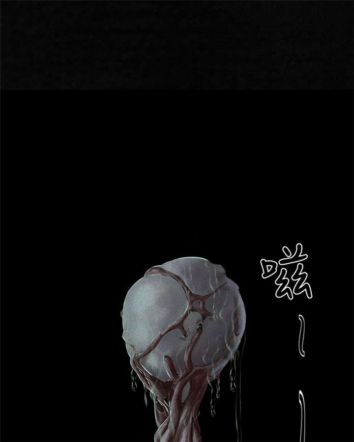 1995僵尸案件解说现场图片漫画,第33章：食物5图