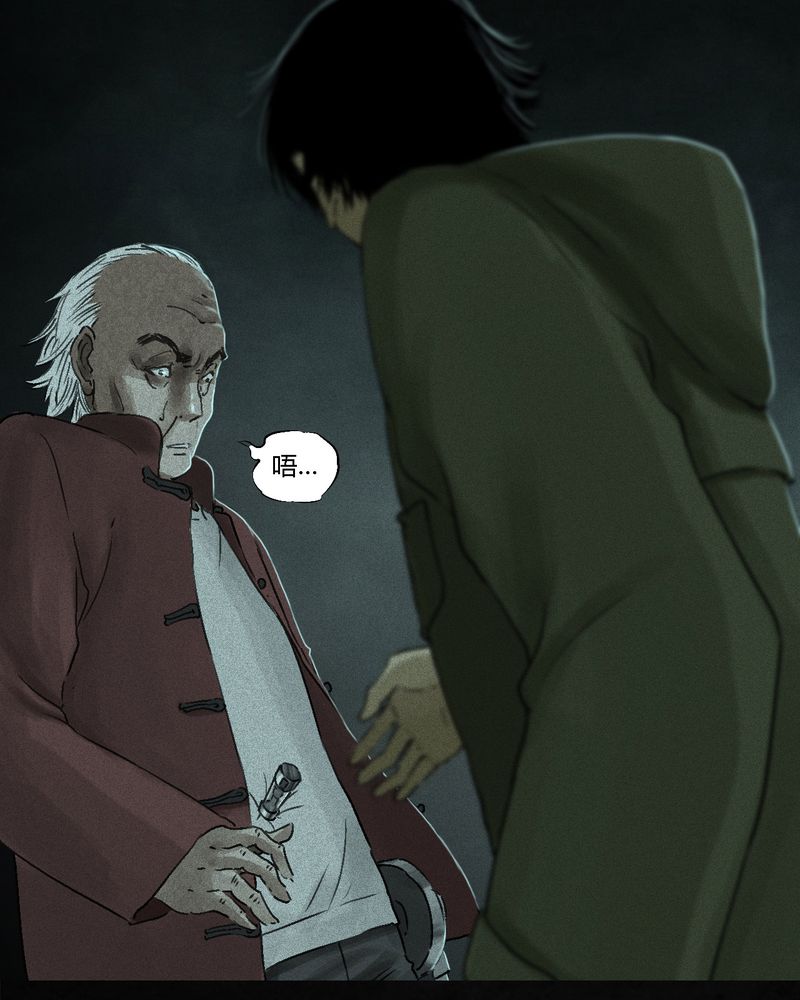 1995年成都的僵尸事件是怎么回事漫画,第54章：最终篇（下）5图