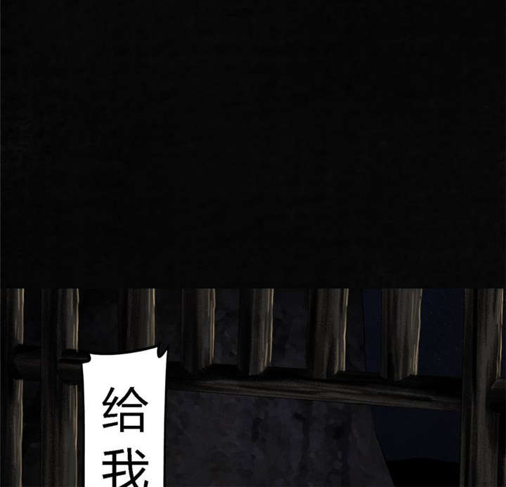 1995年成都的僵尸事件是怎么回事漫画,第42章：祭司2图