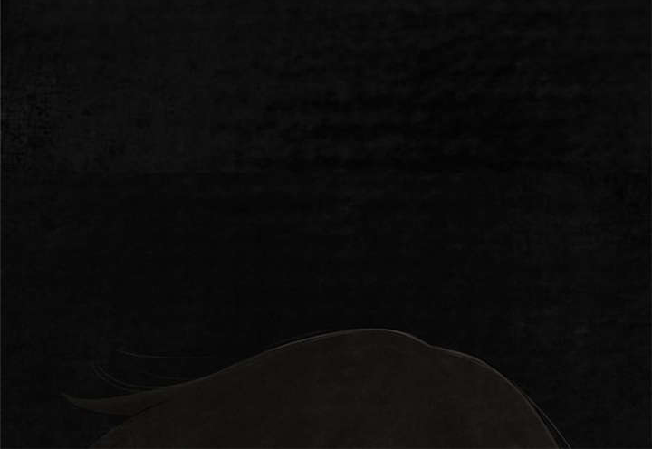 成都1998年车展照片漫画,第16章：赤月初显4图