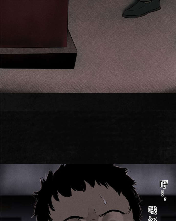 成都1995年事件是真的吗漫画,第30章：白毛浮绿水3图