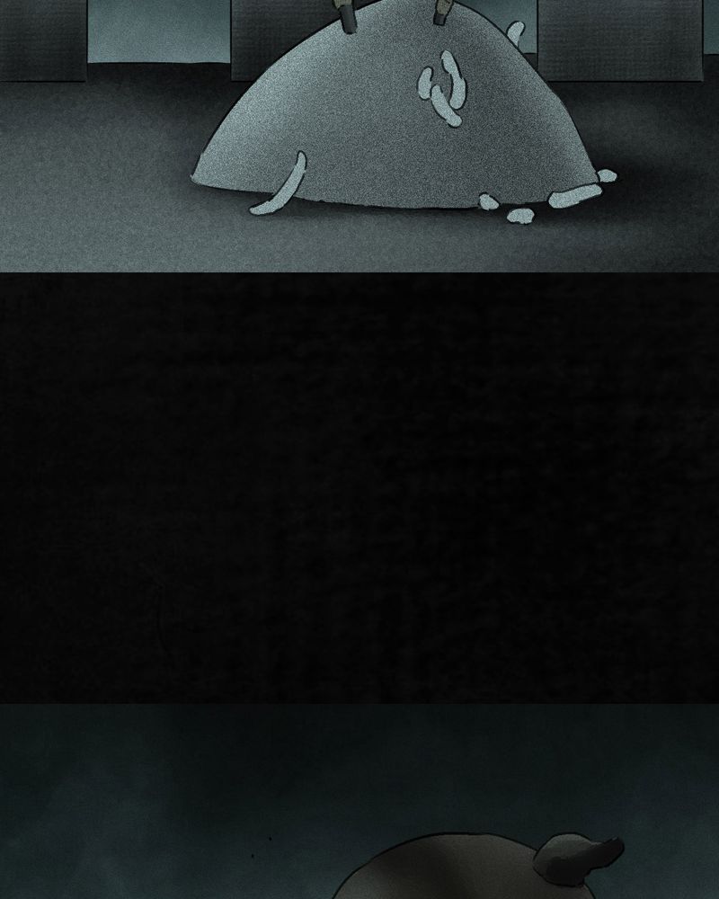 1995年成都的僵尸事件是怎么回事漫画,第54章：最终篇（下）2图