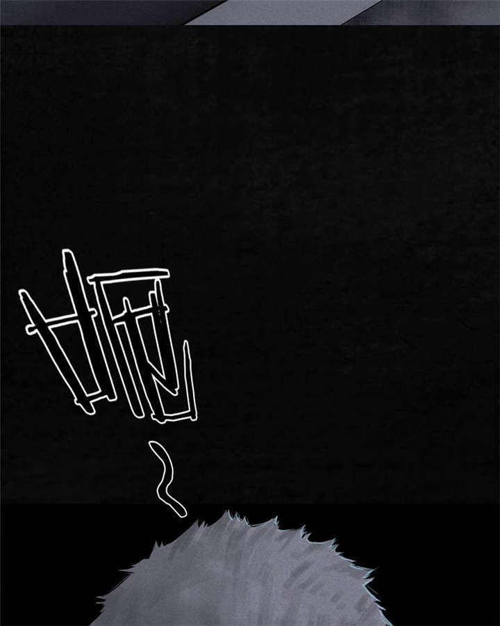 成都1995年事件是真的吗漫画,第30章：白毛浮绿水1图