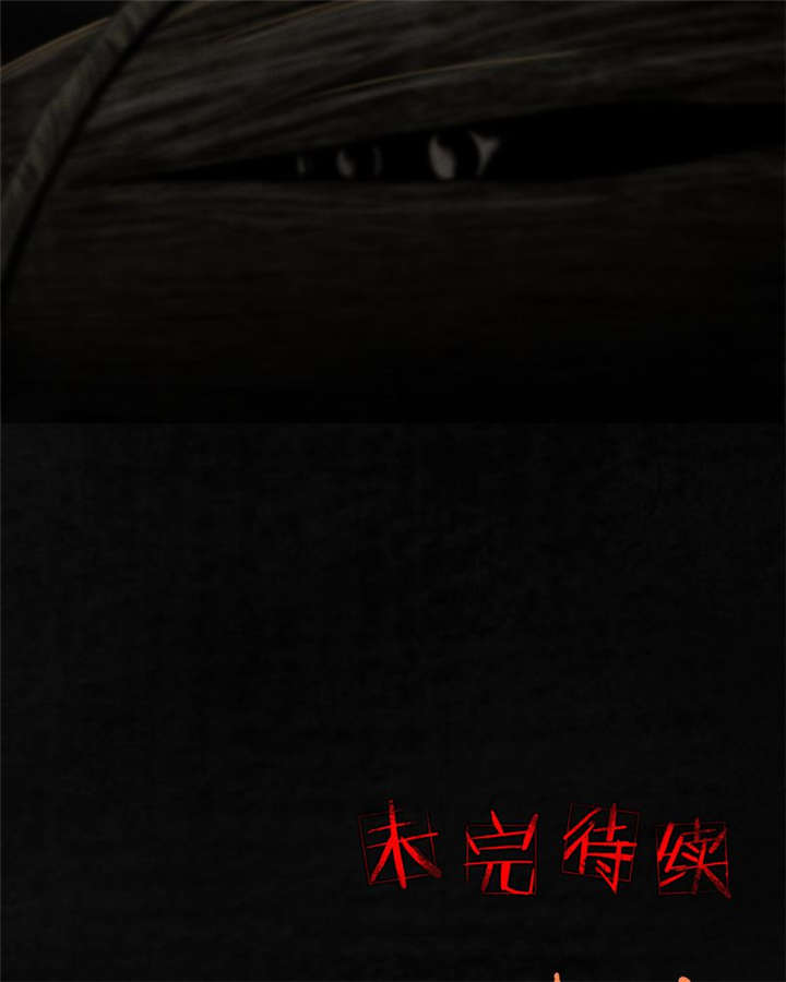 1995年成都的僵尸事件是怎么回事漫画,第42章：祭司4图