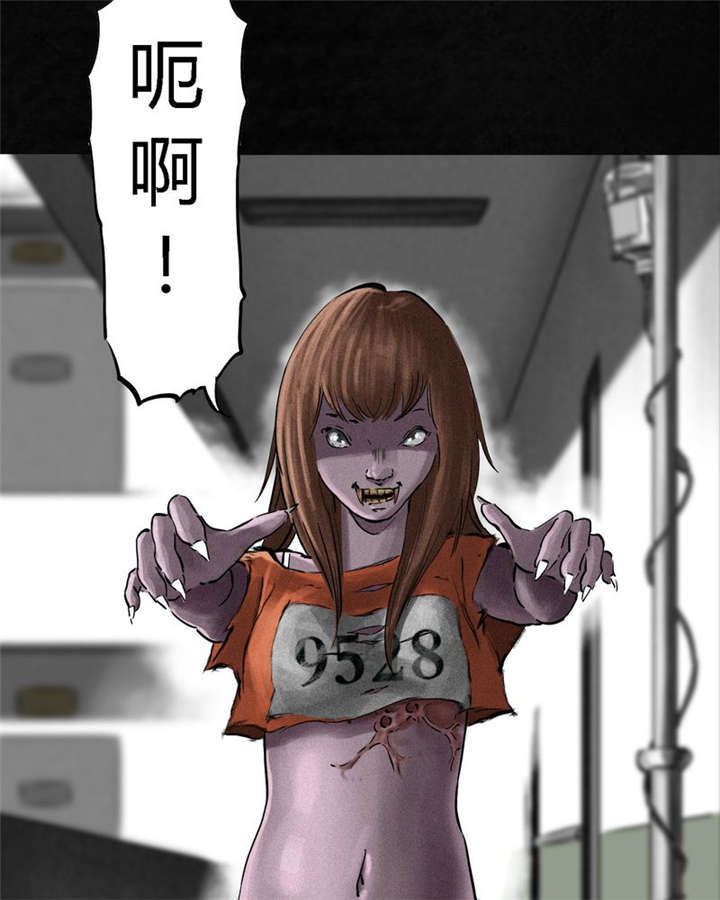 成都1995年经济状况漫画,第13章：大将军到此3图