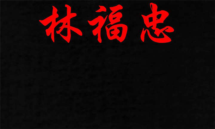 成都1995漫画,第28章：林福忠2图