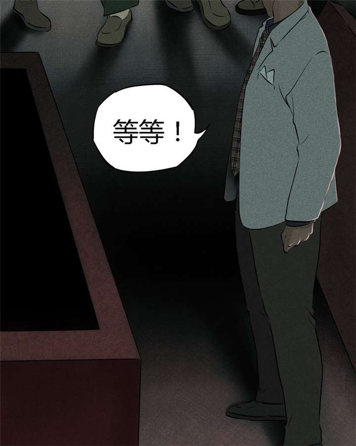 成都1995年事件是真的吗漫画,第30章：白毛浮绿水2图