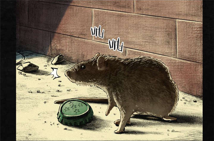 成都1995年事件是真的吗漫画,第1章：下水道美人鱼4图