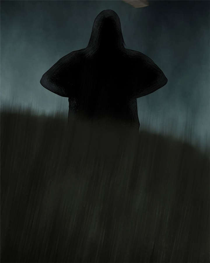 成都1995真实事件漫画,第28章：林福忠5图