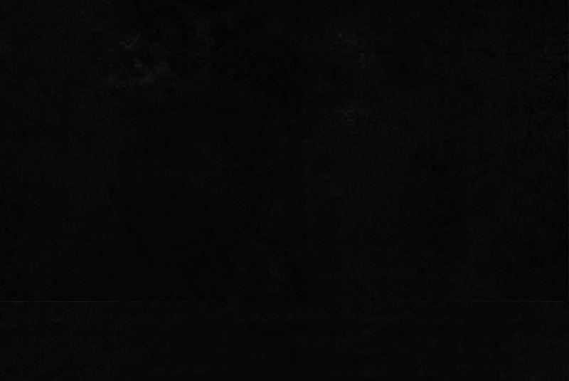 1995年成都的僵尸事件是怎么回事漫画,第54章：最终篇（下）4图