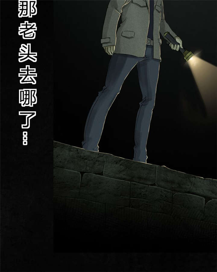 成都1995年经济状况漫画,第45章：陆离1图