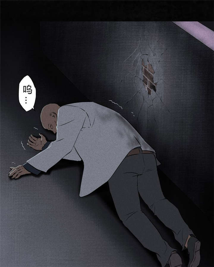 1995年成都的僵尸事件是怎么回事漫画,第31章：傀儡3图