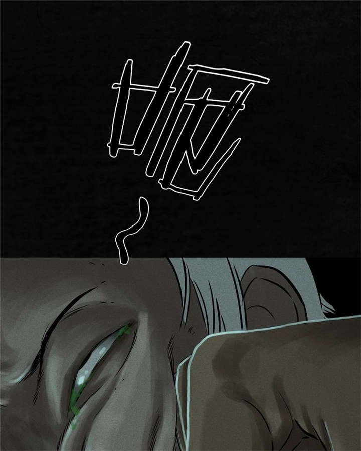 成都1995真实事件新闻报道漫画,第30章：白毛浮绿水3图