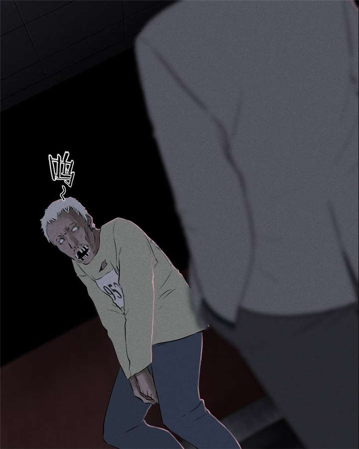 成都1995漫画,第31章：傀儡4图