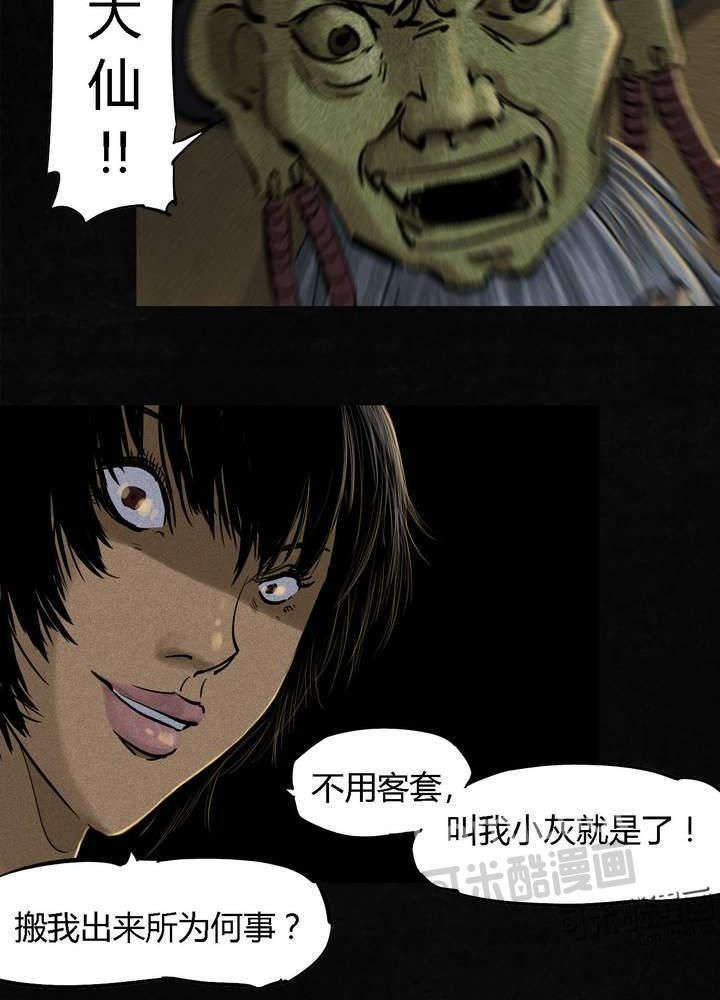 成都1995真实事件漫画,第43章：胡黄白柳灰1图