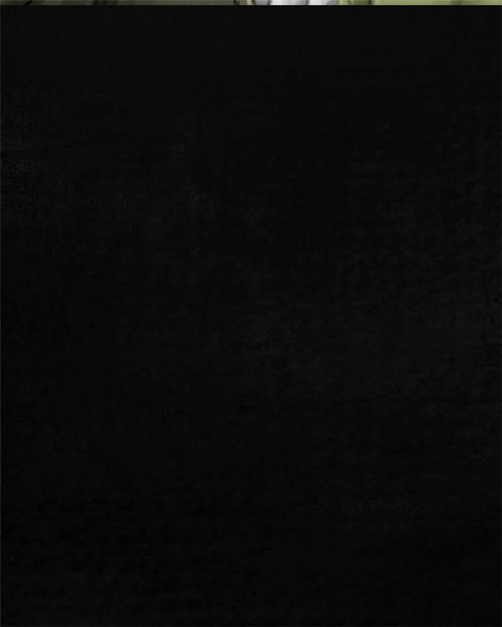 成都1995年经济状况漫画,第13章：大将军到此2图