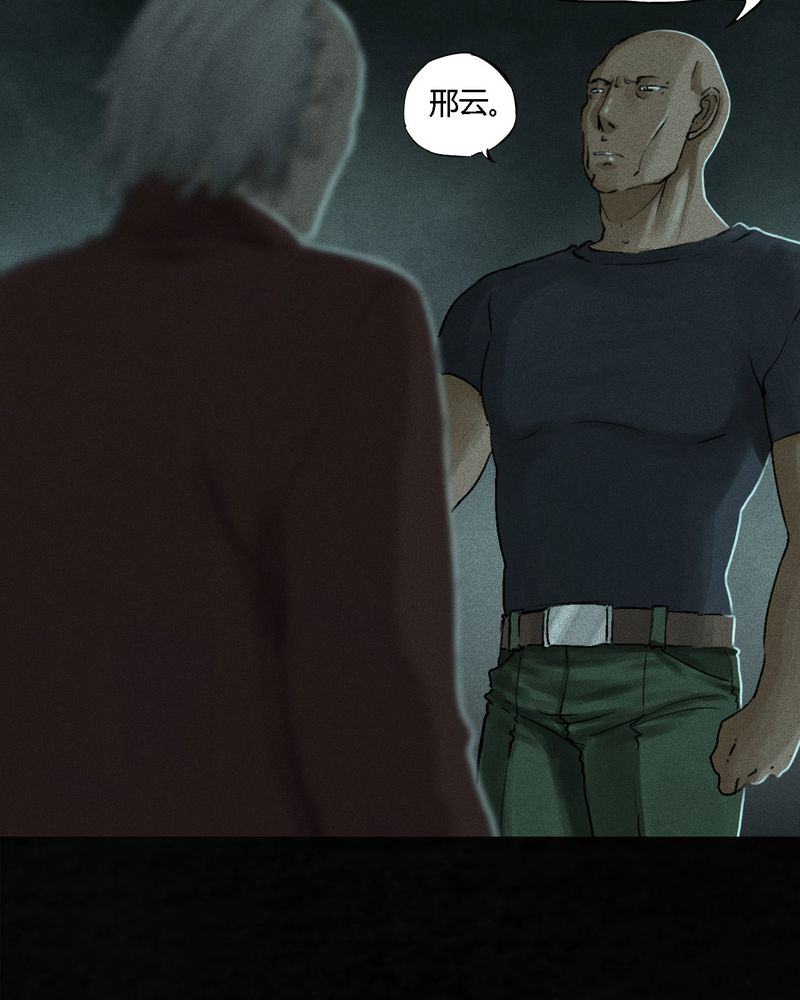 1995年成都的僵尸事件是怎么回事漫画,第54章：最终篇（下）2图