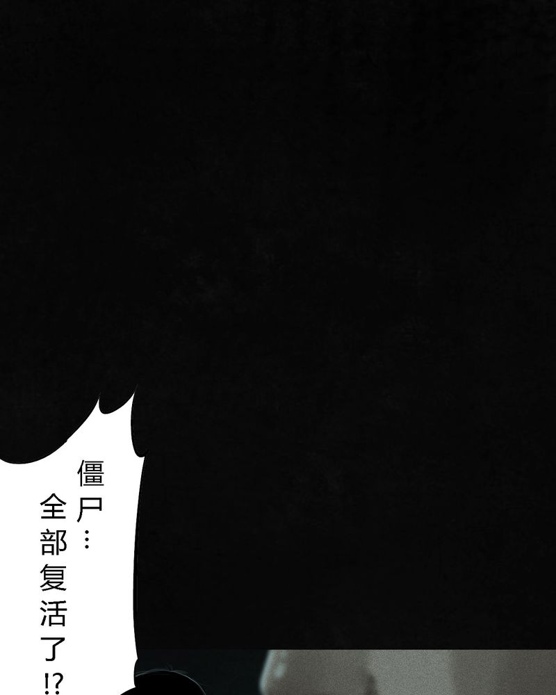 1995年成都的僵尸事件是怎么回事漫画,第54章：最终篇（下）4图