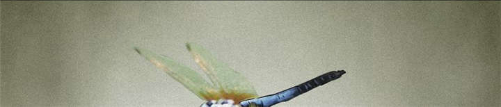 成都1995漫画结局解析漫画,第11章：想起来了1图