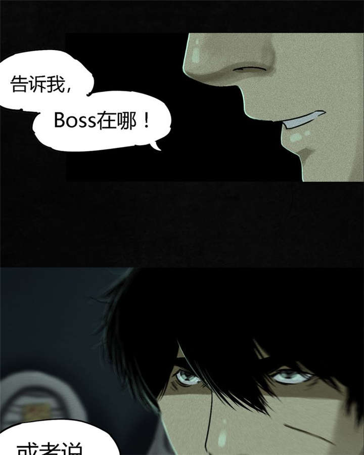 1995年成都的僵尸事件是怎么回事漫画,第49章：二十二年后4图